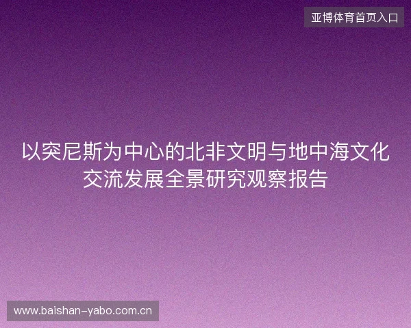 以突尼斯为中心的北非文明与地中海文化交流发展全景研究观察报告 以突尼斯为中心的北非文明与地中海文化交流发展全景研究观察报告
