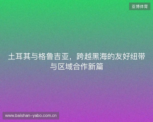 土耳其与格鲁吉亚，跨越黑海的友好纽带与区域合作新篇