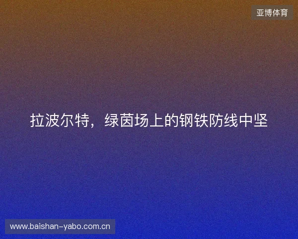 拉波尔特，绿茵场上的钢铁防线中坚